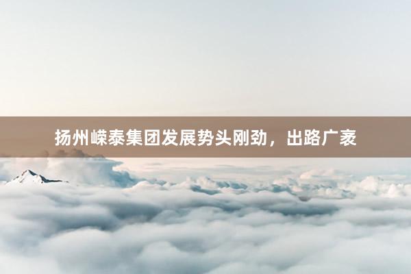 扬州嵘泰集团发展势头刚劲，出路广袤